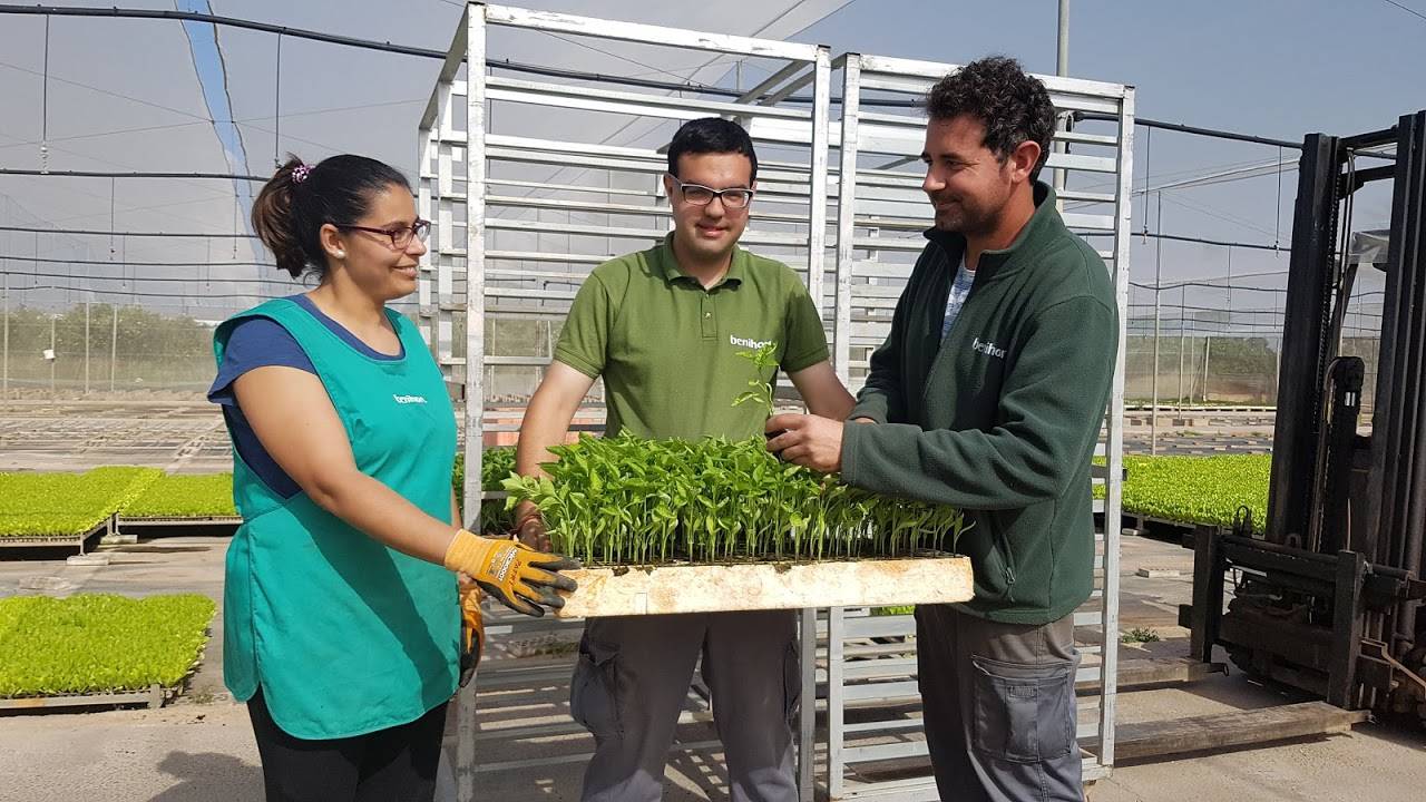 becario-semillero-benihort-1|damian-becario-benihort